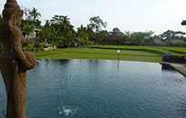 Ricefield View
