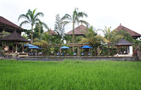 Salt Water Pool